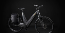 bicicletta elettrica e-bike
