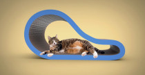 curved scratching lounge